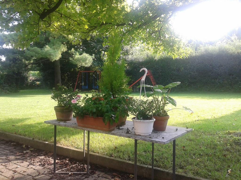 Montegalda Bed And Breakfast Miotto מראה חיצוני תמונה