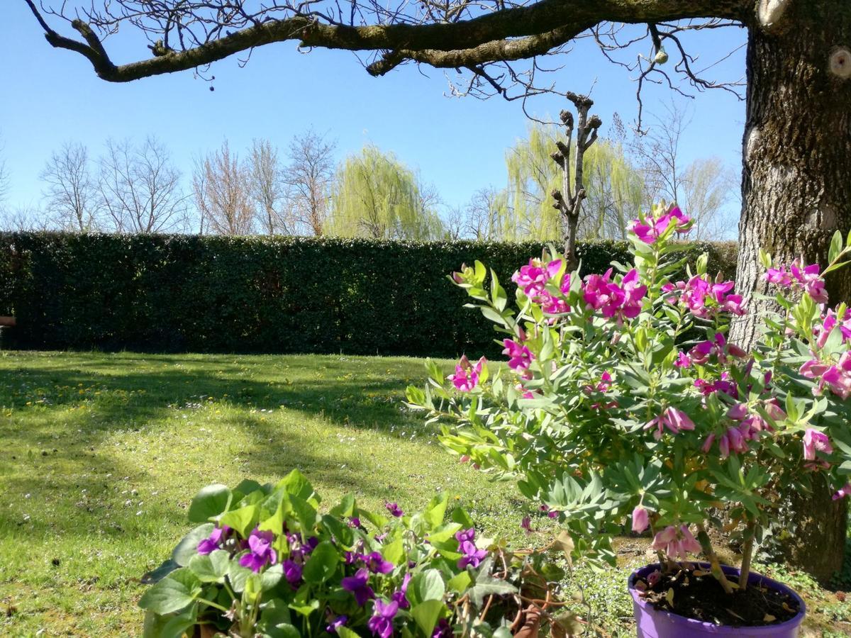 Montegalda Bed And Breakfast Miotto מראה חיצוני תמונה